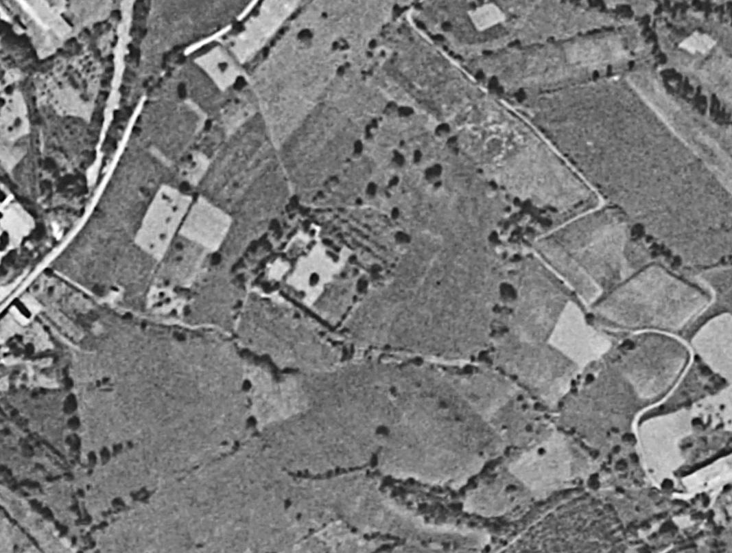 1950