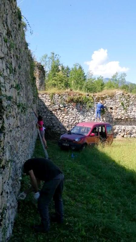 Suppression du lierre sur les murs