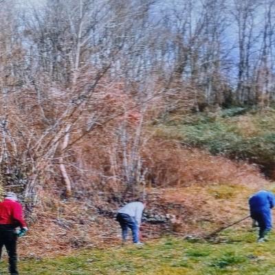 Nettoyage emplacement des ecuries