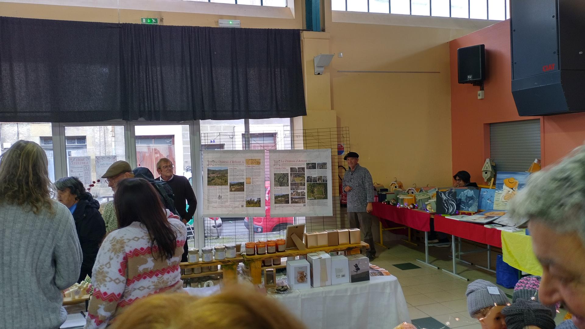 Panneaux de l'historique du château