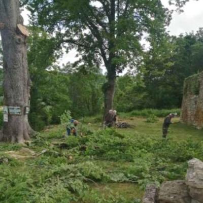 Remise en état du site
