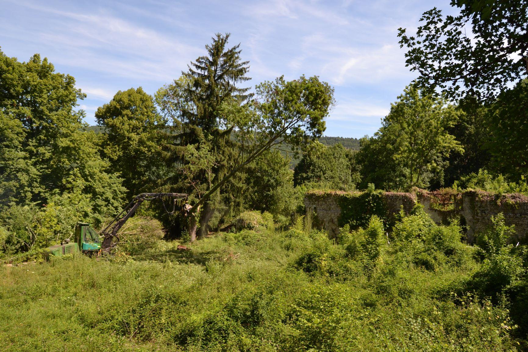 La cour en Avril 2015