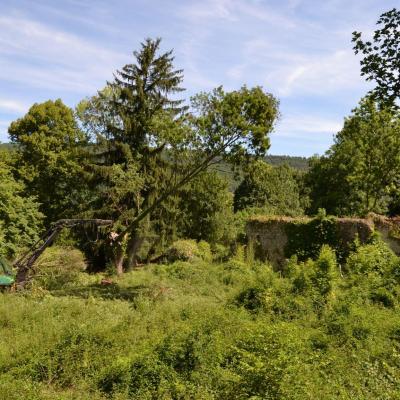 La cour en Avril 2015